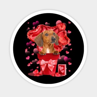 Red Dachshund Dog In Red Pot Happy Valentine's Day Magnet